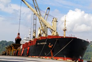 Pelindo III Kapal di Tanjung Intan