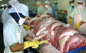 Geliat Industri Perikanan Nasional