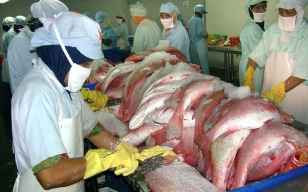 Gairah Baru Industri Perikanan Nasional