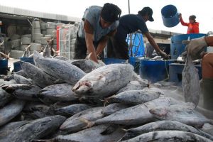 Industri perikanan di Bitung. (Foto: Sulawesi Bisnis.com)