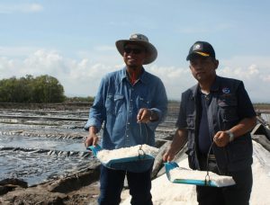 Ilustrasi Petani Garam.