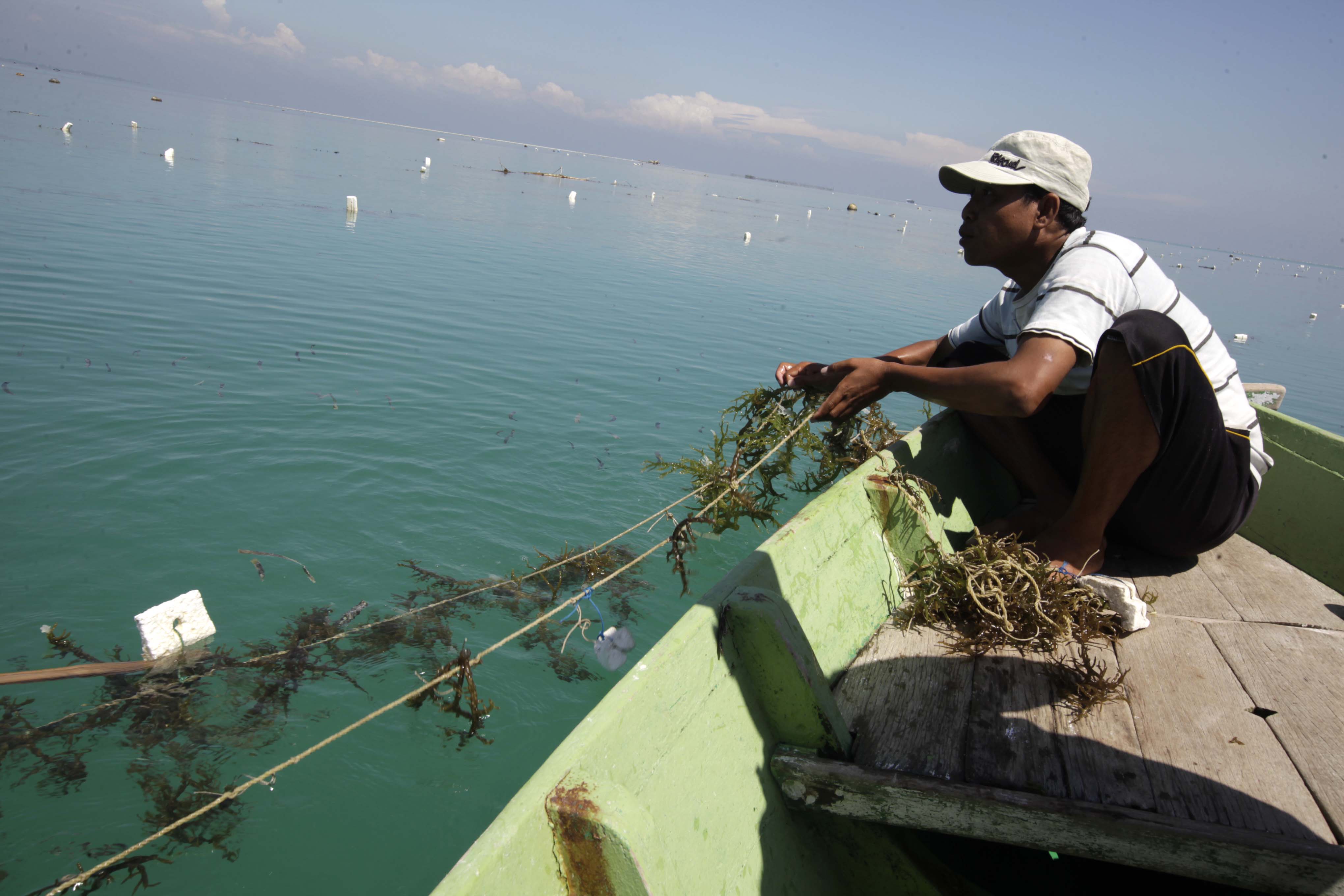 Kriminalisasi Nelayan Pulau Pari, Bukti Pemerintah lebih Pentingkan Korporasi