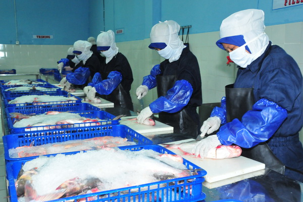 KNTI: Industrialisasi Perikanan masih belum tersentuh dalam RKP 2018