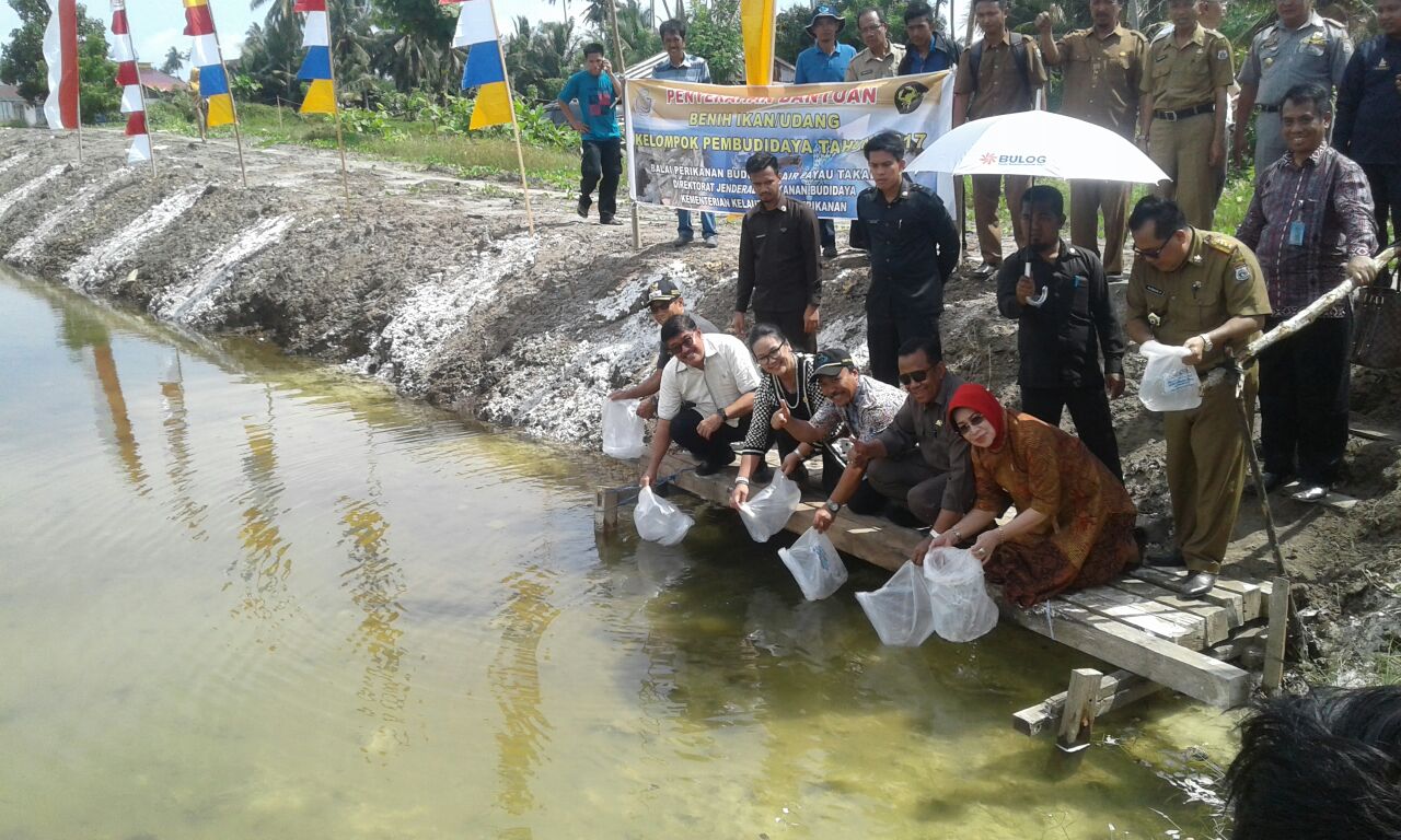 Memiliki Potensi Luar Biasa, KKP Siapkan Pengembangan Perikanan Sulbar