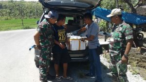 Penggagalan penyelundupan benih lobster oleh EFQR Lanal Banyuawangi.