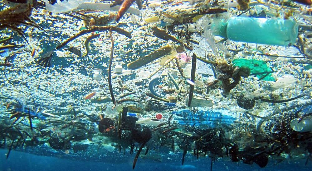 Di Hari Laut Dunia, KIARA Menghimbau Selamatkan Laut dan Ekosistemnya Dari Sampah