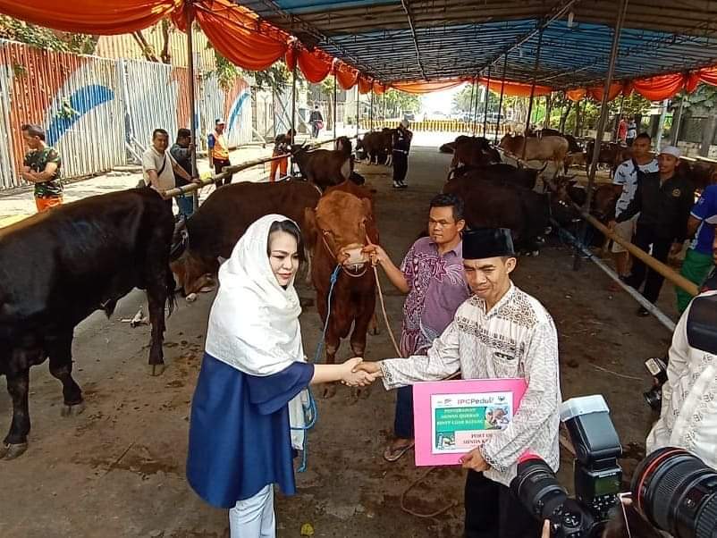 Idul Adha 2019, IPC Sunda Kelapa Berbagi 10 Sapi Qurban