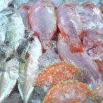 Peringatan Harkannas 2021, KKP Terus Mendorong Gemar Makan Ikan untuk Masyarakat