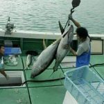 Lindungi Hak Awak Kapal Perikanan, SPPI Membuat MoU dengan Asosiasi Tuna Taiwan