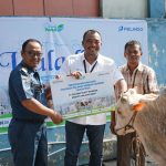 Idul Adha 2025, SPMT Salurkan 90 Hewan Qurban 