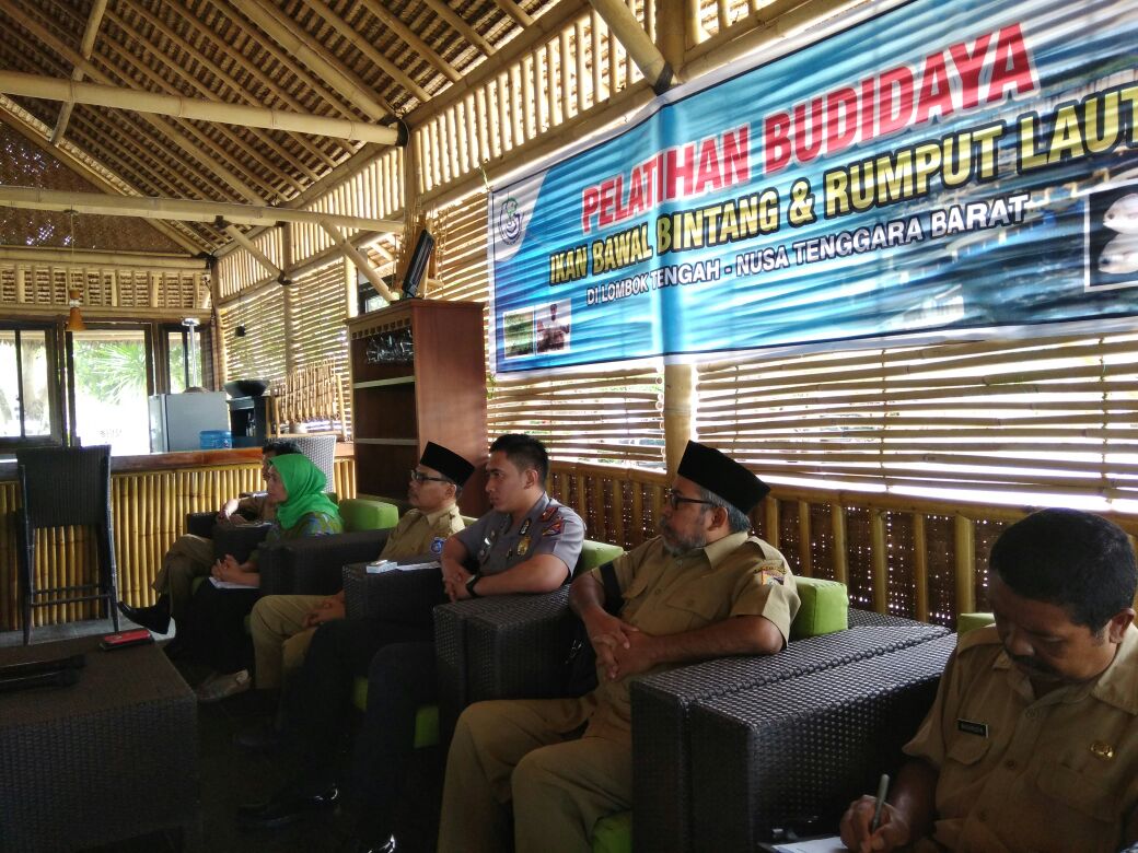 KKP Pastikan Eks Penangkap Benih Lobster di Lombok Tidak Ada Yang Tolak Program Bantuan Usaha Budidaya