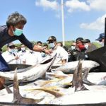 Perlu Menyusun Sistematika Regulasi Pengaturan Potensi Ikan Tuna Pulau Sumbawa