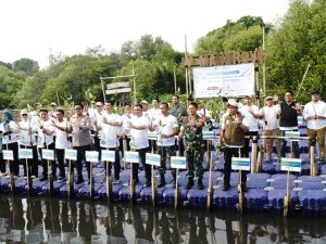 IPC TPK Dukung Rehabilitasi Mangrove Nasional bersama The North Green Movement
